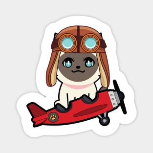 Cute Siamese cat is in a vintage airplane Magnet