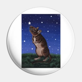 Degu Star Gazing Pin