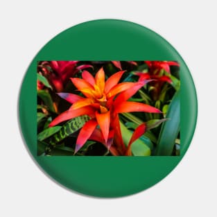 Bromeliad Flower - San Diego Pin