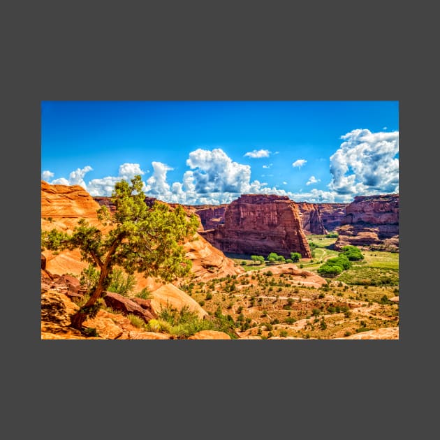 Canyon de Chelly National Monument by Gestalt Imagery