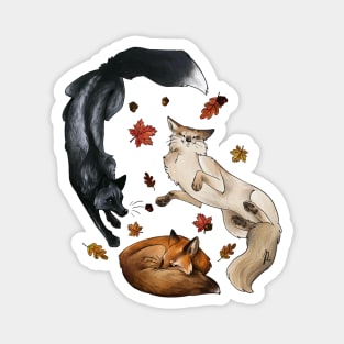 Autumn Foxes Magnet