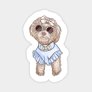 Cute bichon Magnet