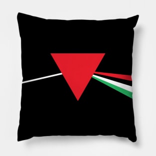 Palestinian Liberation (Prism) Pillow