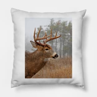 Bullet Buck - White-tailed deer Pillow