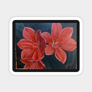 Red Day Lily Magnet