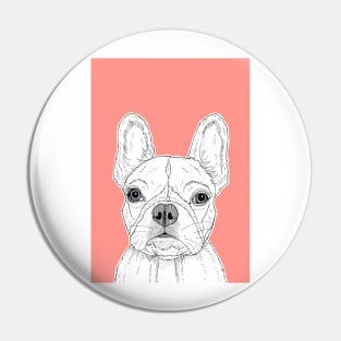 French Bulldog Portrait ( coral background ) Pin