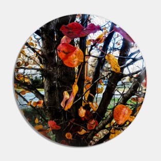 Vibrant leaves on a tree Pin