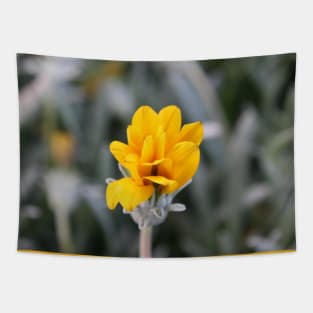 Yellow Flower Close-Up Photo Tapestry