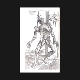 Anatomical skeleton Illustration from De humani corporis fabrica libri septem by Andreas Vesalius published circa 1543 (cleaned to remove bleed thru text) T-Shirt