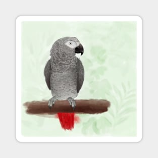 African Gray Magnet