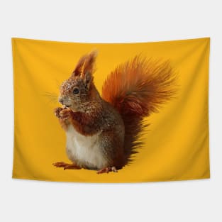 Squirrel Tapestry