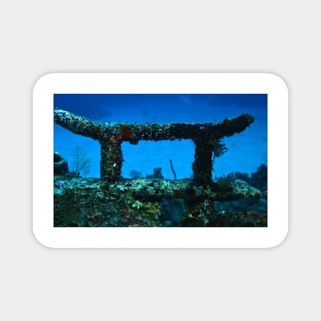 Coral Wreck Mooring Magnet by Scubagirlamy