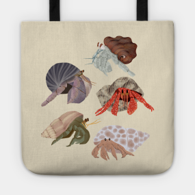 Hermit Crab Totes Teepublic