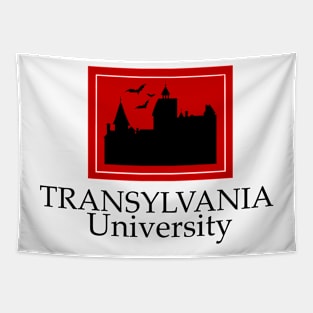 Transylvania University Tapestry