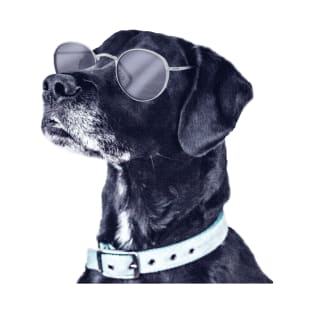 Dog Sunglasses T-Shirt