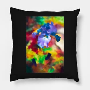 Iris 69 Pillow