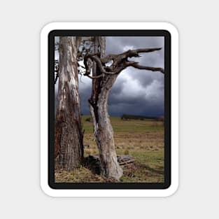 The storm clouds on the horizon Magnet