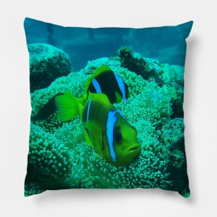 Clownfish Pillow