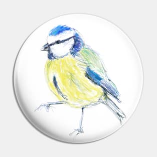 Bluetit Garden Bird on one leg Pin