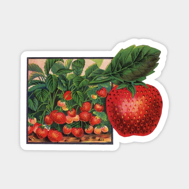 Vintage Strawberries Magnet by MasterpieceCafe