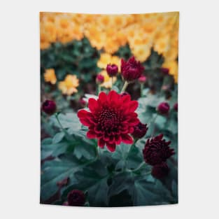 crimson chrysanthemum Tapestry