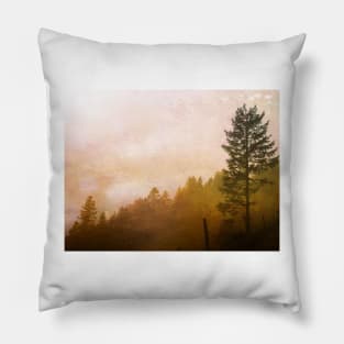 Misty Morning Pillow