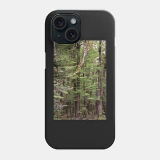 Birch Forest Phone Case