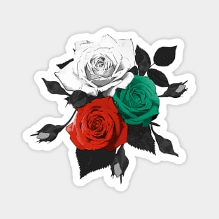 Bulgaria Roses Magnet