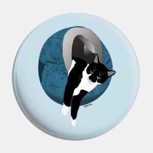 Cute Tuxedo cat in in his Igloo 3 Copyright TeAnne Pin