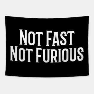Not Fast, Not Furious Tapestry