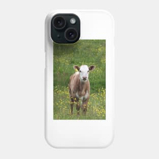 Calf in a Field Phone Case