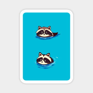 Raccoon Duo Swimming in Blue Water Magnet