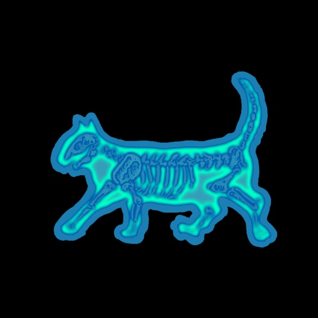 Kitty Cat Skeleton Illustration, XRAY by ckrickett