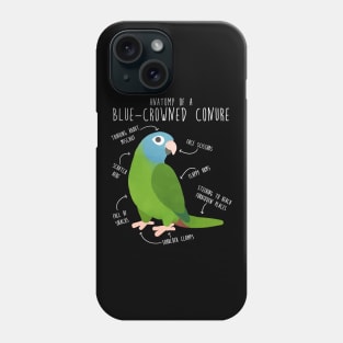 Blue-Crowned Conure Parrot Anatomy Phone Case