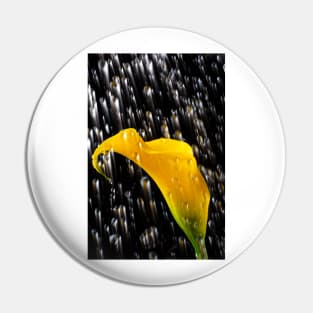 Raining On A Yellow Calla Lily Pin