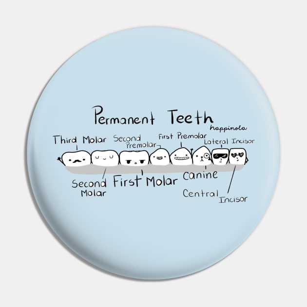 Permanent Teeth (Names) Pin by Happimola