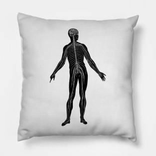 Lymphatic System - Vintage Anatomy Pillow