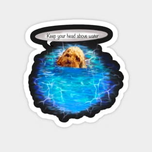 Keep your head above water - Cavapoo swimming puppy dog   - cavalier king charles spaniel poodle, puppy love Magnet