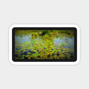 Gorham Pond Lily Pads Magnet