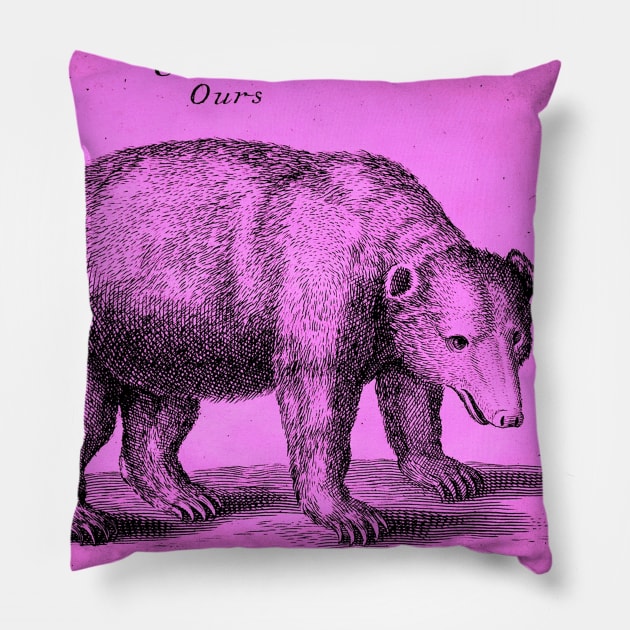 Pinkbear Antique Engraving Pillow by chilangopride