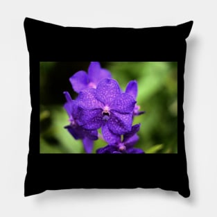 Purple flowers Pillow