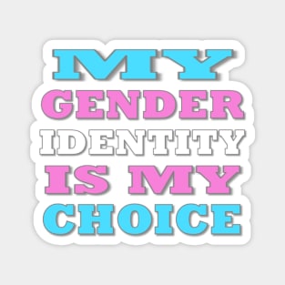 My Gender Identity is My Choice Magnet