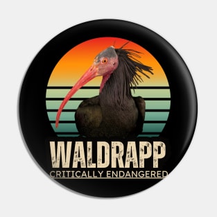 Waldrapp is an endangered specie Pin