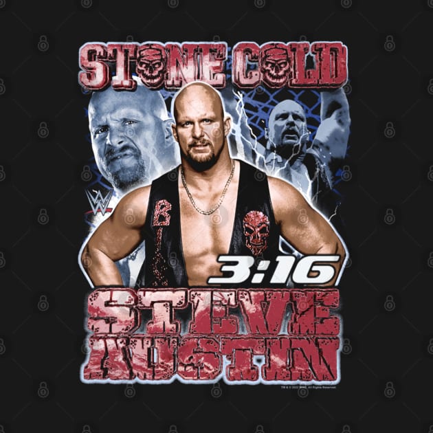 Stone Cold Steve Austin 316 Collage by Holman