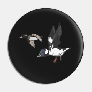 Bufflehead Pair Pin