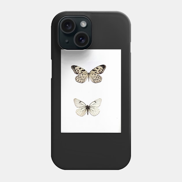 white butterfly butterflies natural history specimen insect, botanical graphic poster print Phone Case by jacquline8689