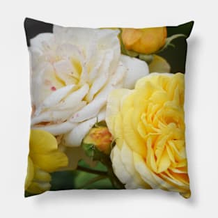 Yellow and White Roses Pillow