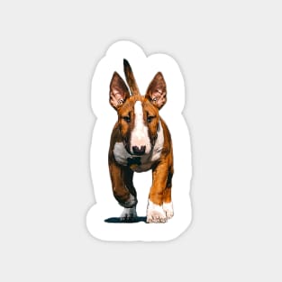 English Bull Terrier Cute Bull Terrier Puppy Dog Magnet