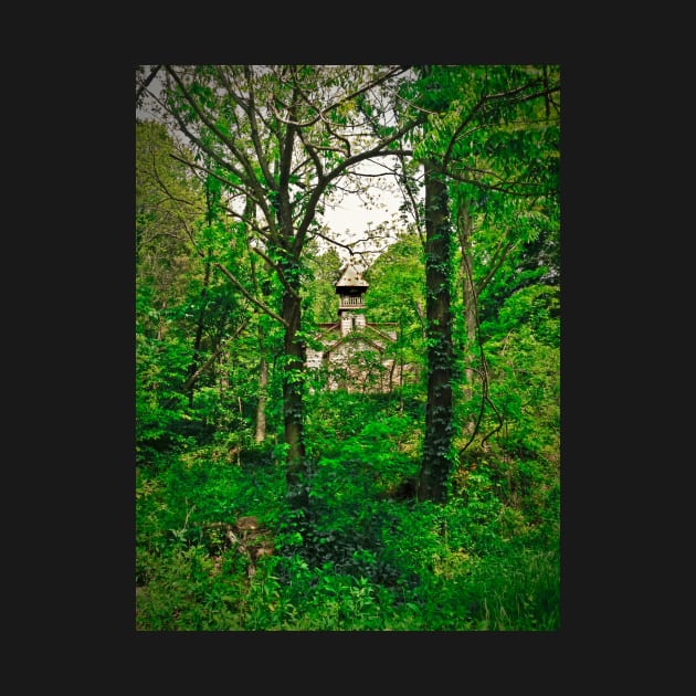 Manse In The Woods by PaulLu