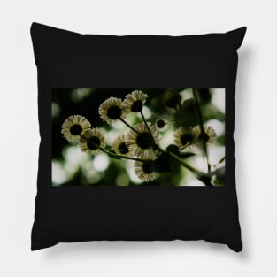 Under Daisies Pillow